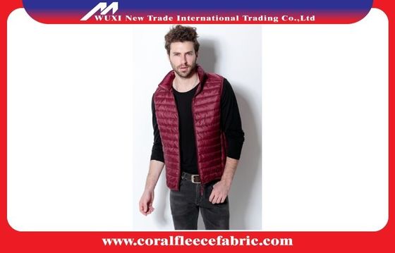 Le poids léger de Packable d'Avant-Fermeture éclair a piqué le gilet du décolleur des hommes vers le bas avec le collier debout